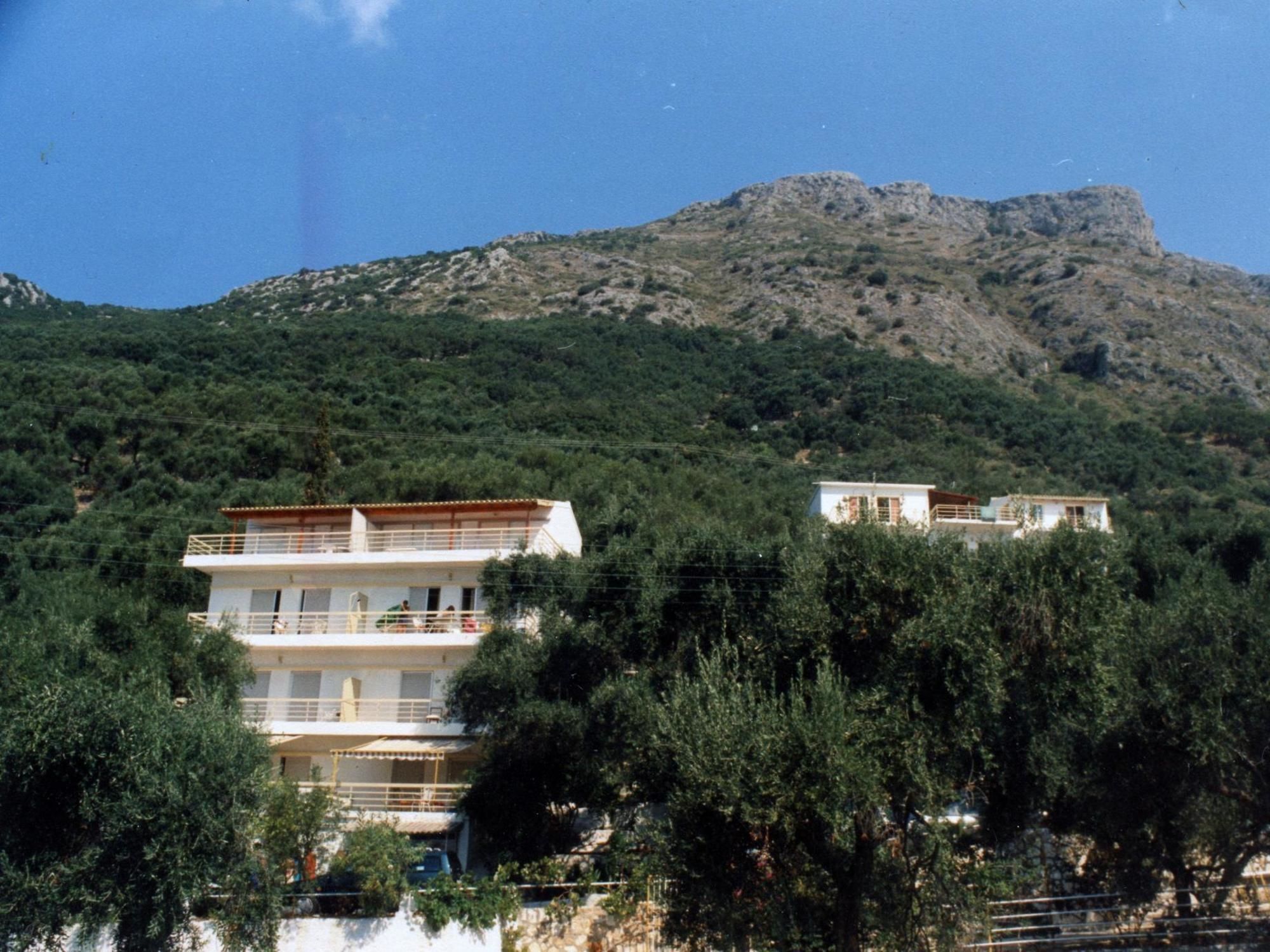 Paradise 2* Barbati